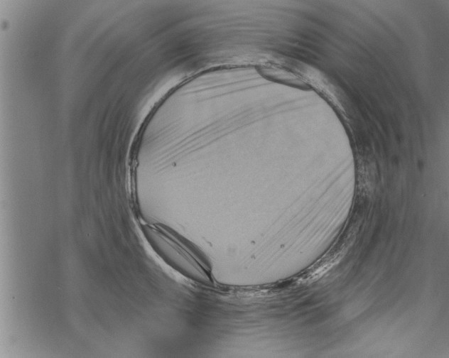 X0000067511095200605051823