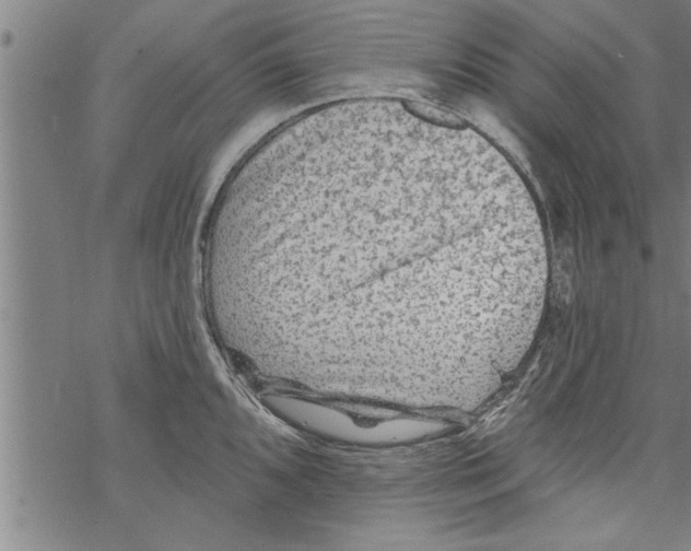 X0000067511096200605051823