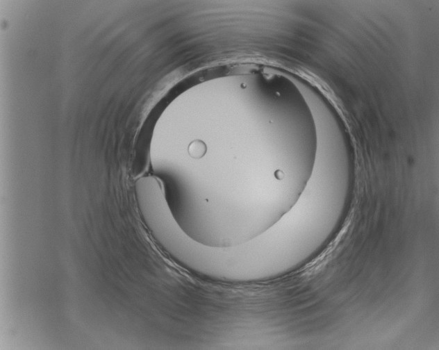 X0000067511097200605051823