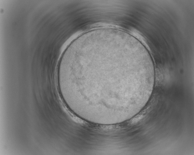 X0000067511098200605051823