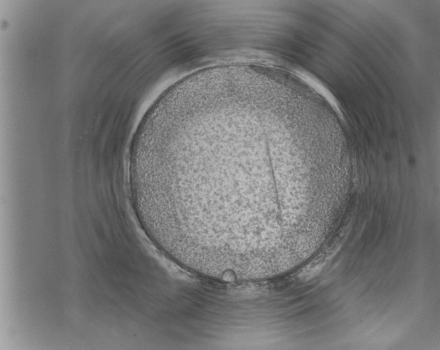 X0000067511099200605051823