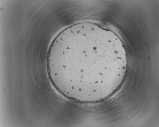 X0000067511100200605051823