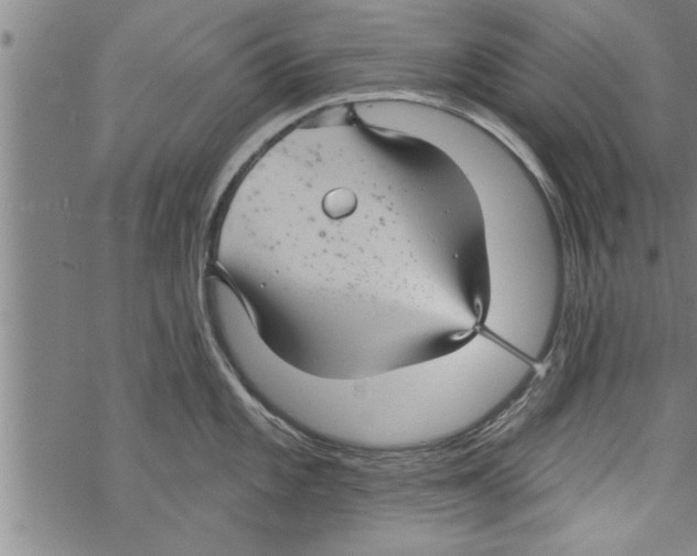 X0000067511101200605051823