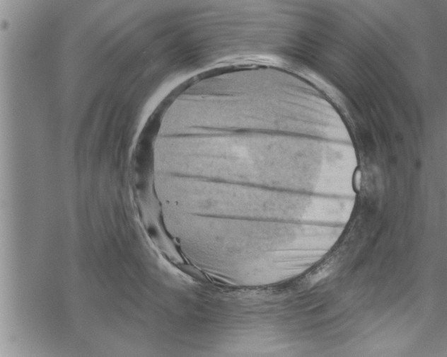 X0000067511102200605051823