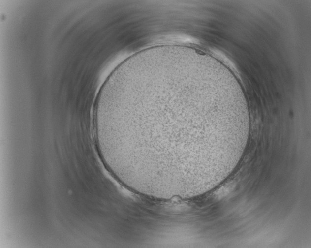 X0000067511103200605051823