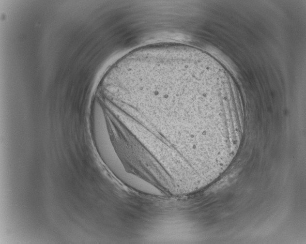 X0000067511104200605051823