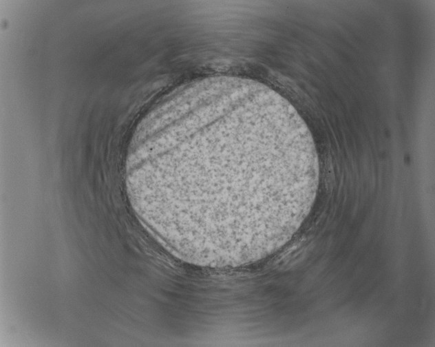 X0000067511105200605051822