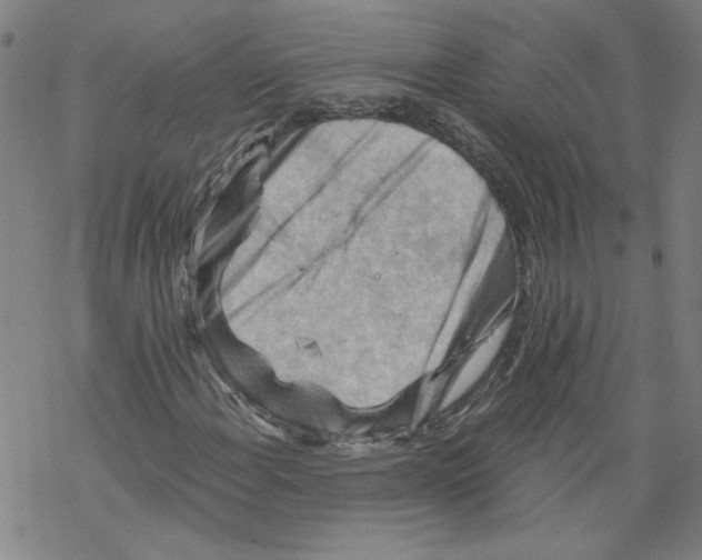 X0000067511108200605051822