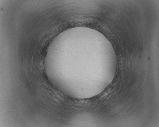 X0000067511109200605051822