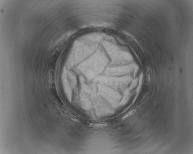 X0000067511110200605051822