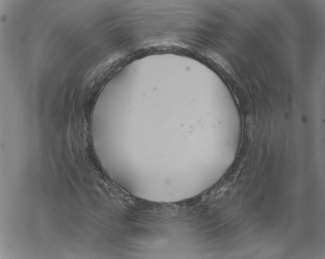 X0000067511111200605051822