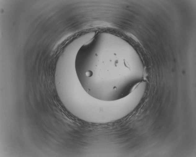 X0000067511112200605051822