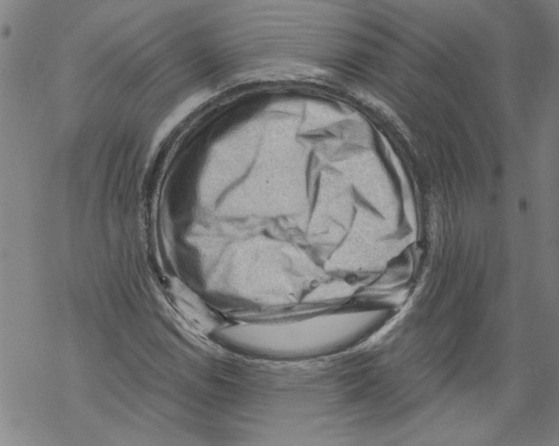 X0000067511114200605051822