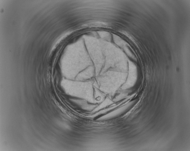 X0000067511115200605051822