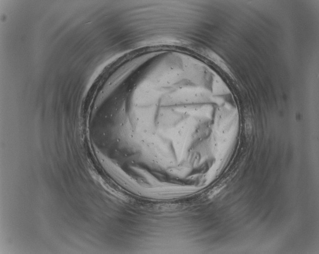 X0000067511116200605051822