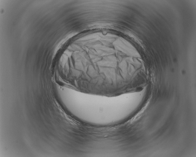 X0000067511117200605051822