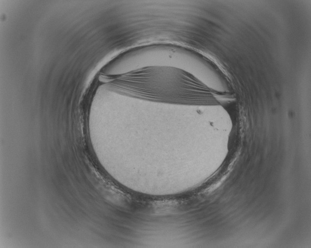 X0000067511118200605051822