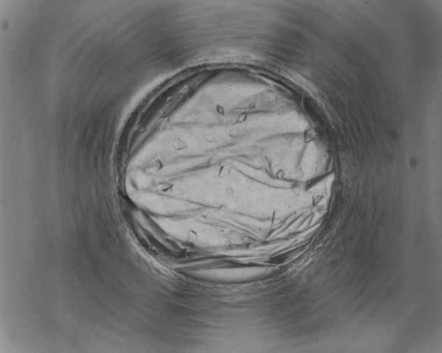 X0000067511120200605051822