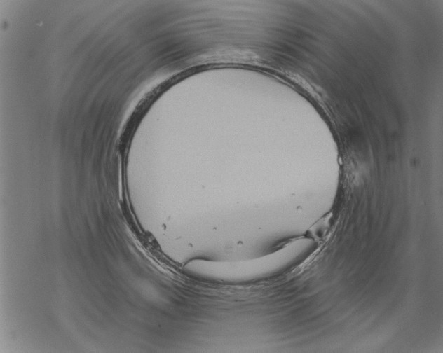 X0000067511123200605051822