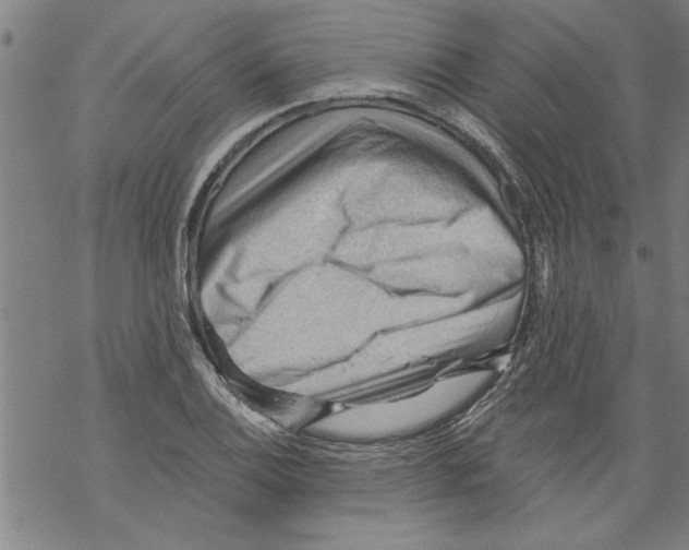 X0000067511124200605051822