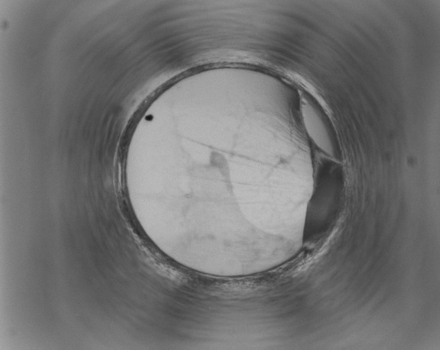 X0000067511125200605051822