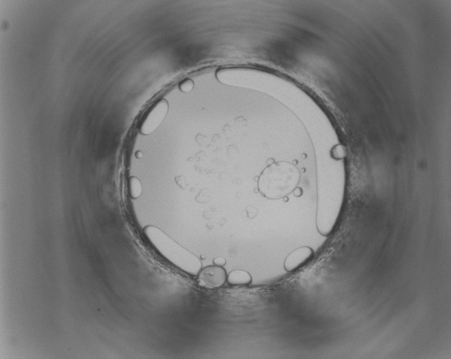 X0000067511126200605051822