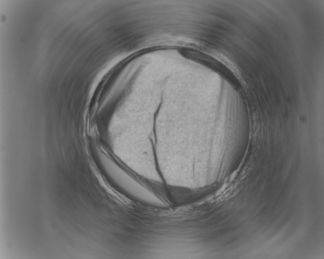 X0000067511128200605051822