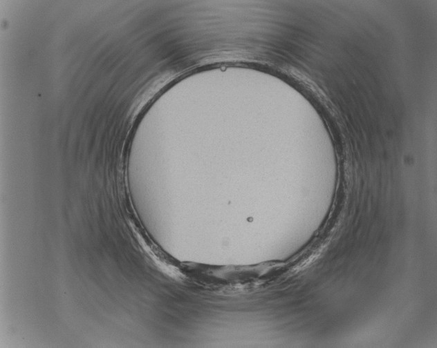 X0000067511129200605051822