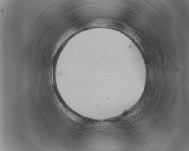 X0000067511131200605051822