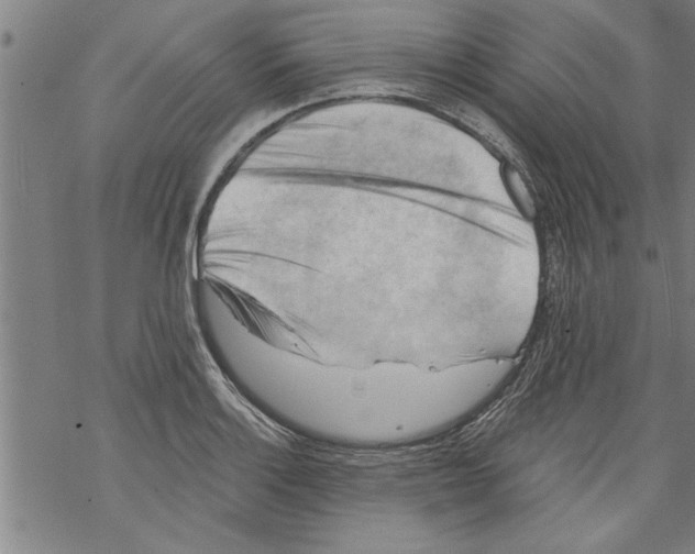 X0000067511132200605051822