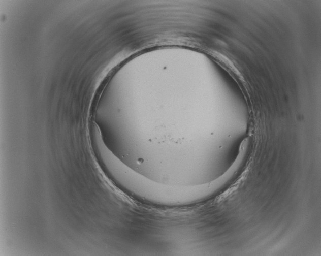 X0000067511133200605051822