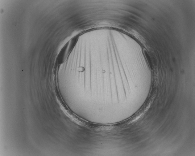 X0000067511134200605051822