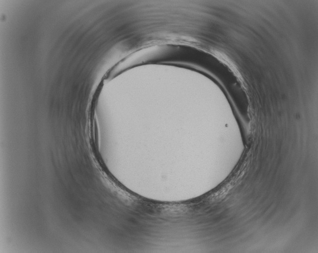 X0000067511136200605051822