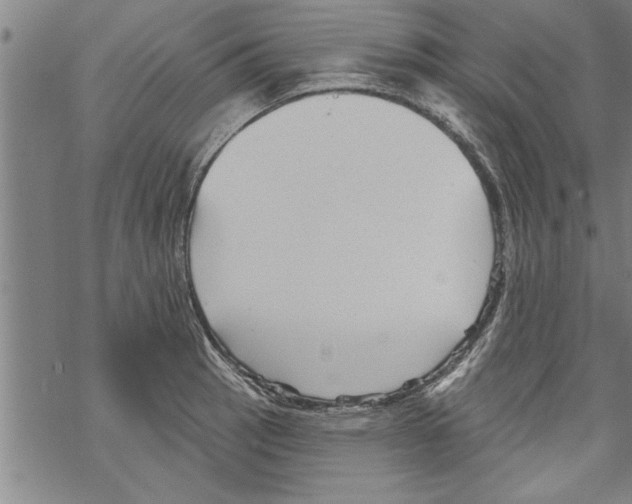 X0000067511137200605051822