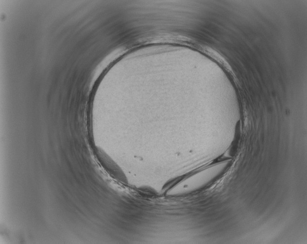 X0000067511138200605051822