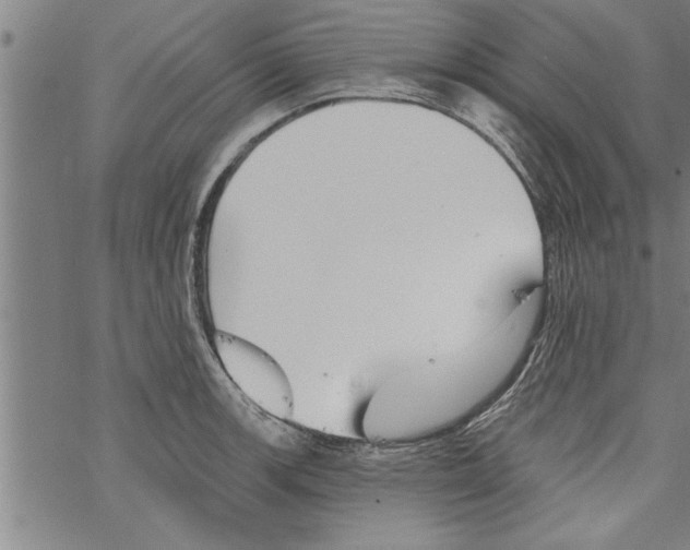 X0000067511139200605051822