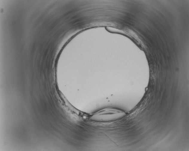 X0000067511140200605051822