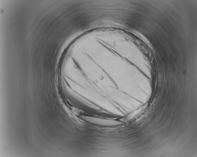 X0000067511144200605051822