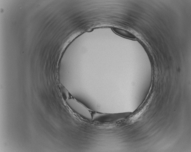 X0000067511145200605051822