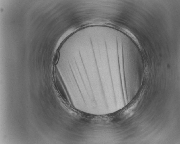 X0000067511146200605051822