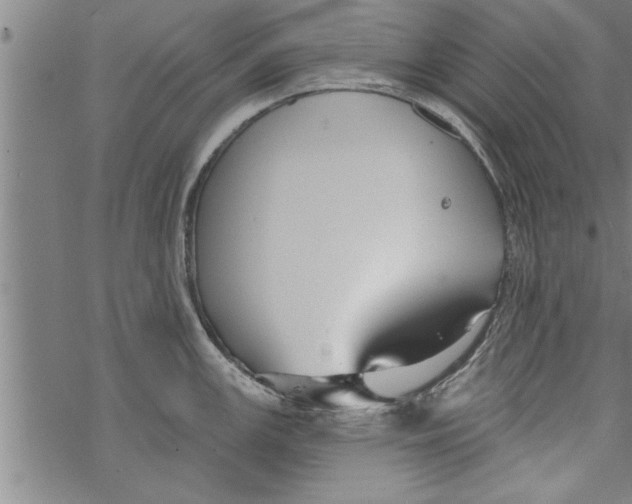 X0000067511147200605051822