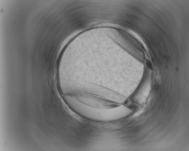 X0000067511149200605051823