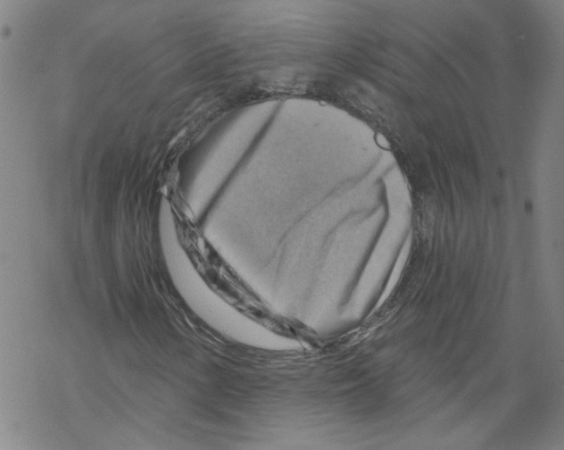 X0000067511154200605051822