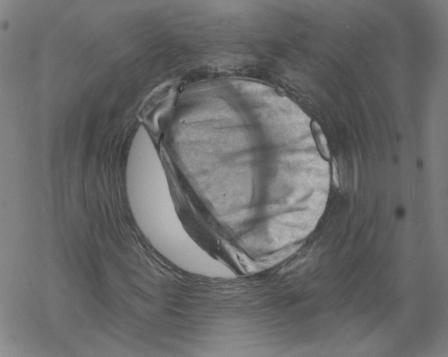 X0000067511155200605051822