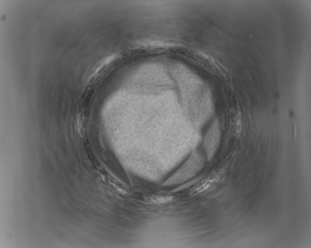 X0000067511157200605051822