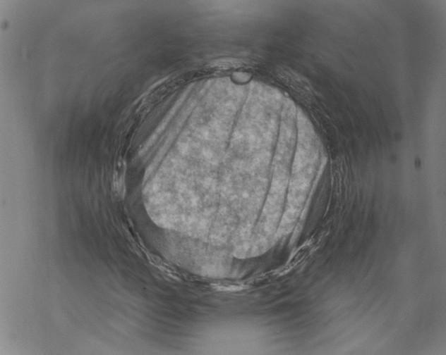 X0000067511158200605051822