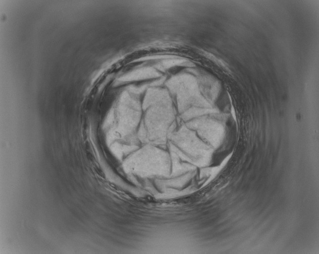 X0000067511160200605051822