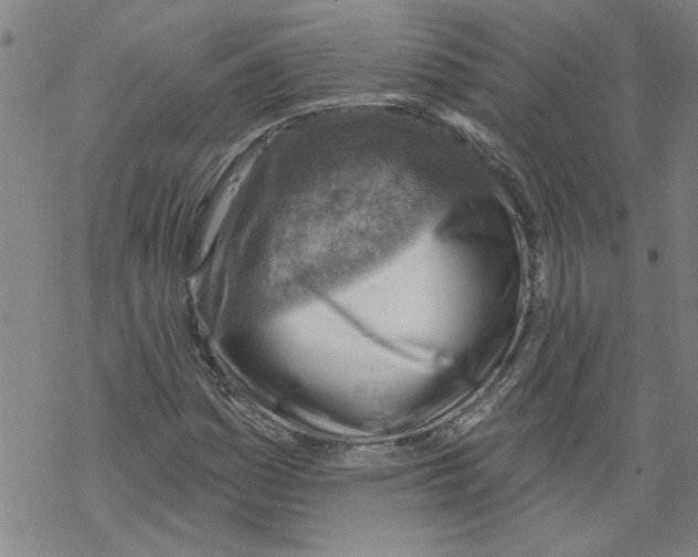 X0000067511161200605051822