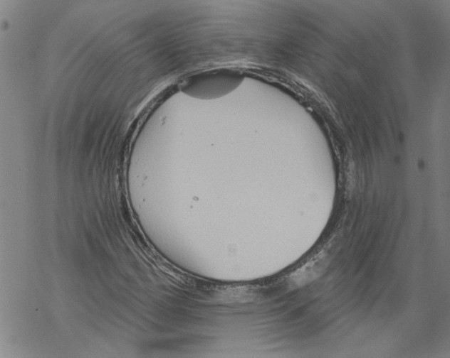 X0000067511162200605051822