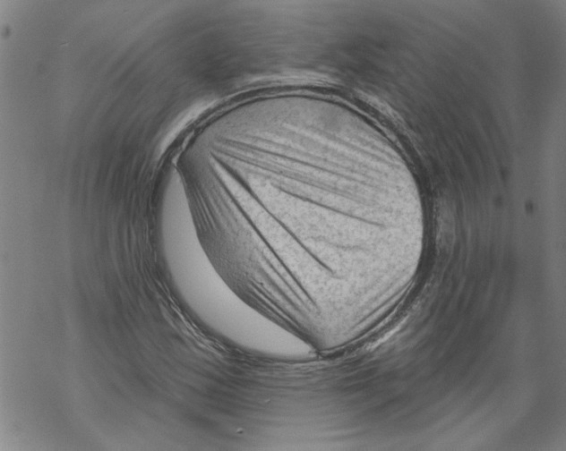 X0000067511163200605051822